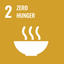 SDG 1